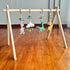 Yellow Dinosaur Play Gym & Sensory Mat Set